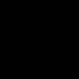 Meet your Posher, Rafael